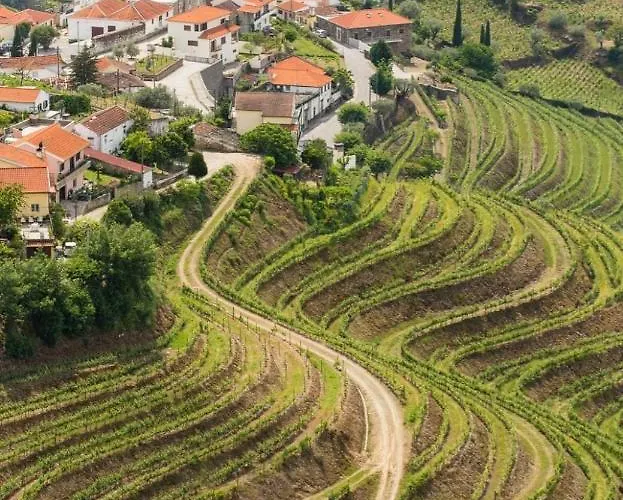 Soalheira Douro House