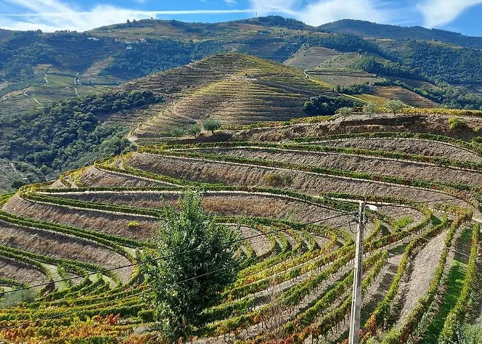Soalheira Douro House Hébergement de vacances